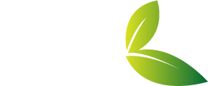 A Detox Life Logo